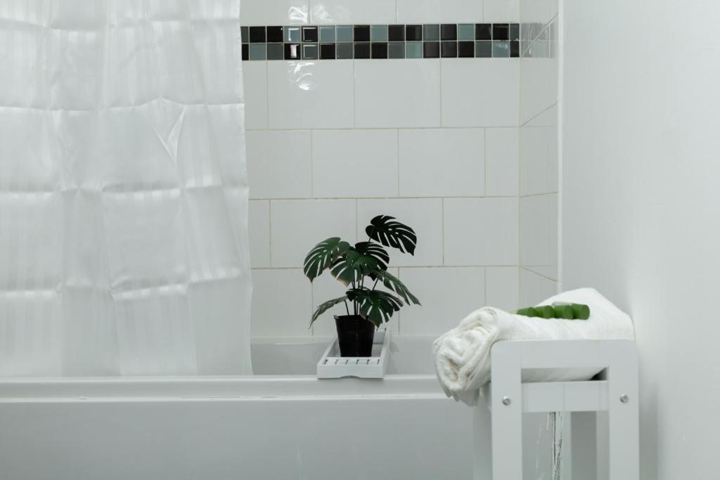 Appartement Spacious Centre 2 Bedroom - Lt